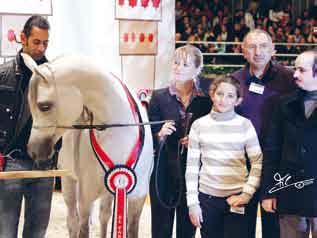 The Gold Medal, which corresponds to the title of World Champion Stallion, was awarded to the second in his category held on the previous day, *Marwan Al Shaqab, presented by Michael Byatt, bred and