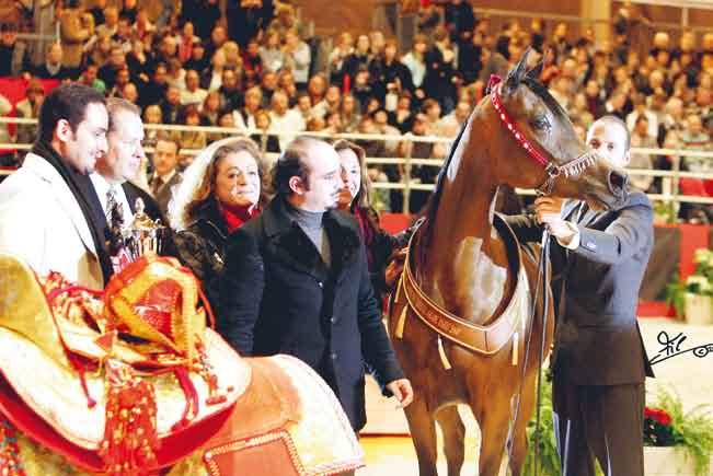 Abha Palma Gold Medal Fillies La sede era quella storica, la fiera in Porte de Versailles, ma l area dello stand destinata ai cavalli è stata rivista al ribasso.