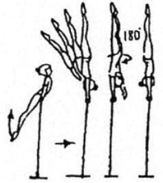 201 Cast to hstd with legs together and hips extended; also with hop-grip change also with ½ turn (180 ) legs together or straddled Slancio in vert.