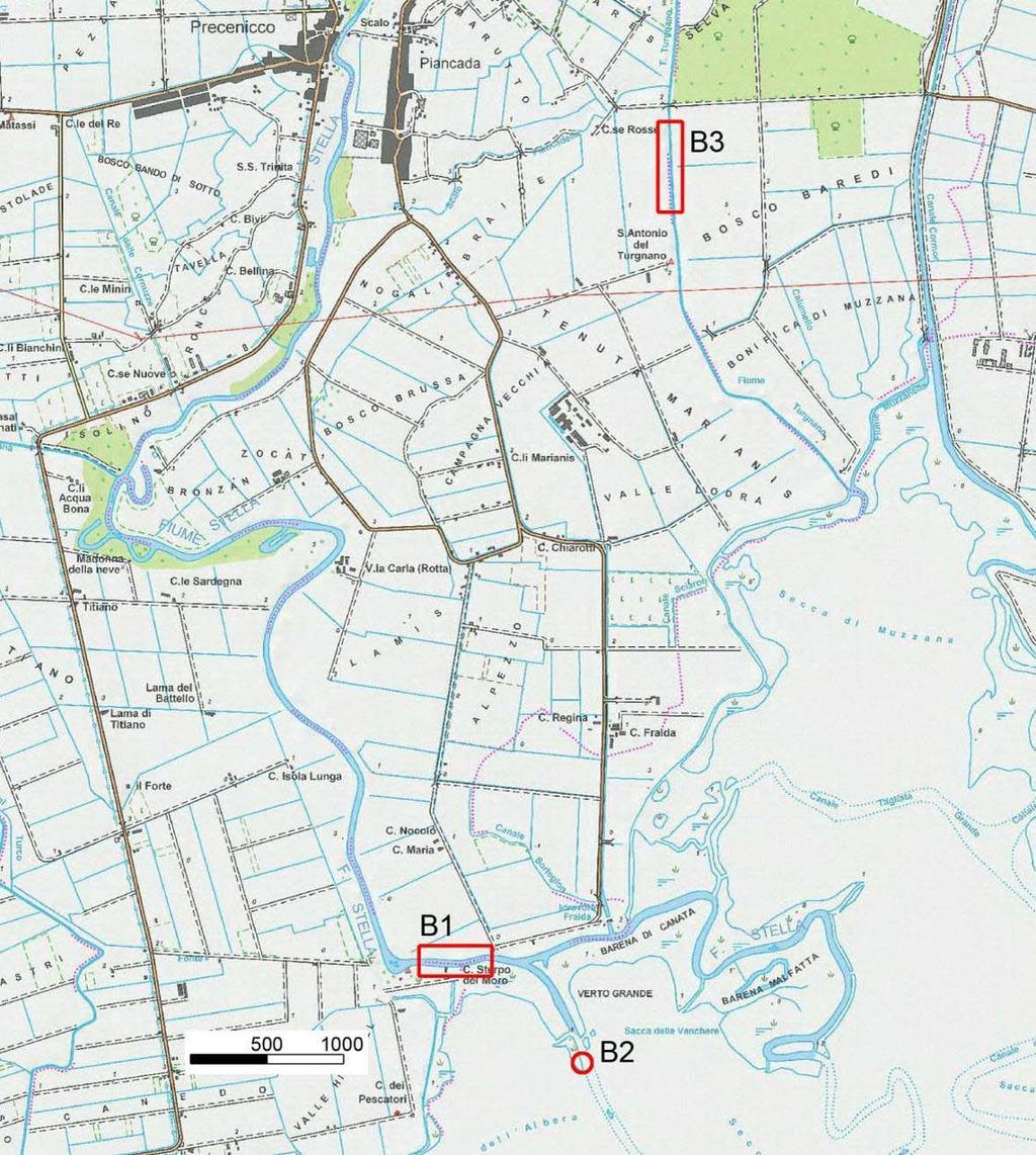 Figura 1: punti di monitoraggio nell'ambito del bacino scolante in laguna di Marano; B1, area di monitoraggio con bertovelli per anguille gialle ed argentine sul fiume Stella; B2 punto di