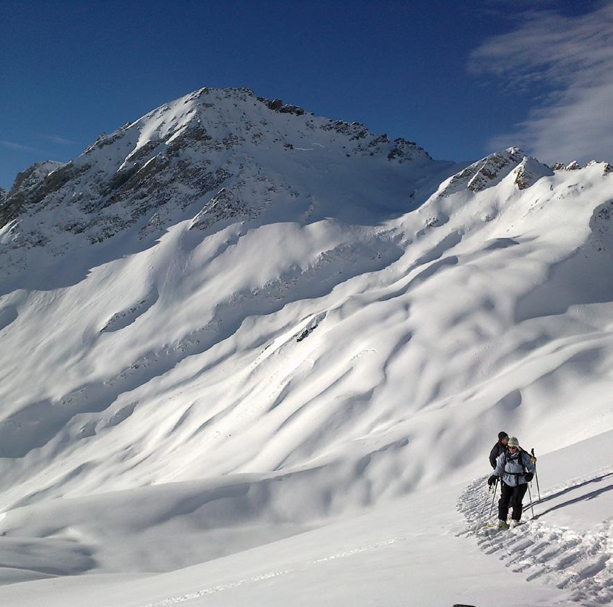 Il metodo 3x3 per la gestione del rischio in valanga e GPS applicato Oggi è il metodo più usato per la preparazione e l effettuazione delle gite scialpinistiche.