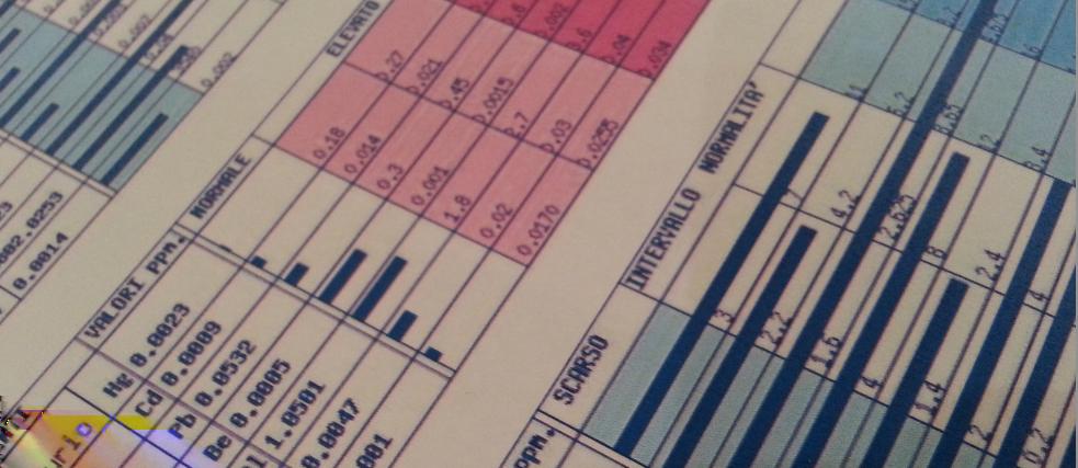 L Analisi Minerale Tessutale o Tissutale A.M.T. fornisce: 1. l individuazione della tipologia metabolico-ossidativa (lenta o veloce) 2.