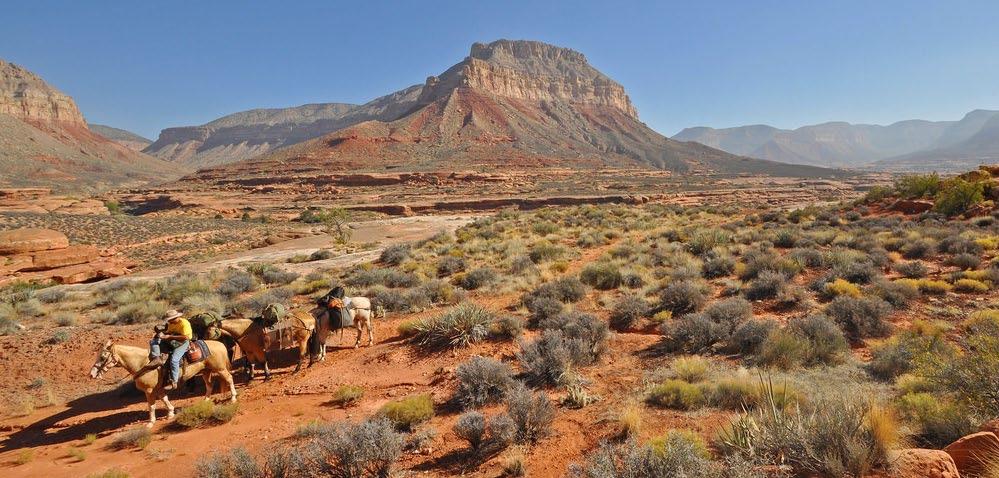 in lingua italiana L itinerario Sognando la California è il tour ideale per