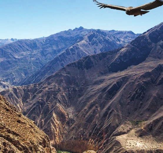 trasferimento in hotel pernottamento a Nazca. 11 giorno: Nazca / PARACAS In mattinata possibilità di fare il volo facoltativo sopra le linee di Nazca. Proseguimento in bus di linea per Paracas.