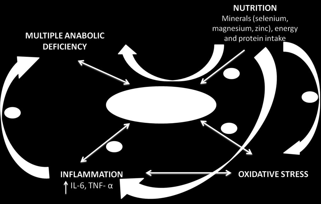 IGF-1, the Cross Road of the Nutritional, Inflammatory and Hormonal Pathways to Frailty