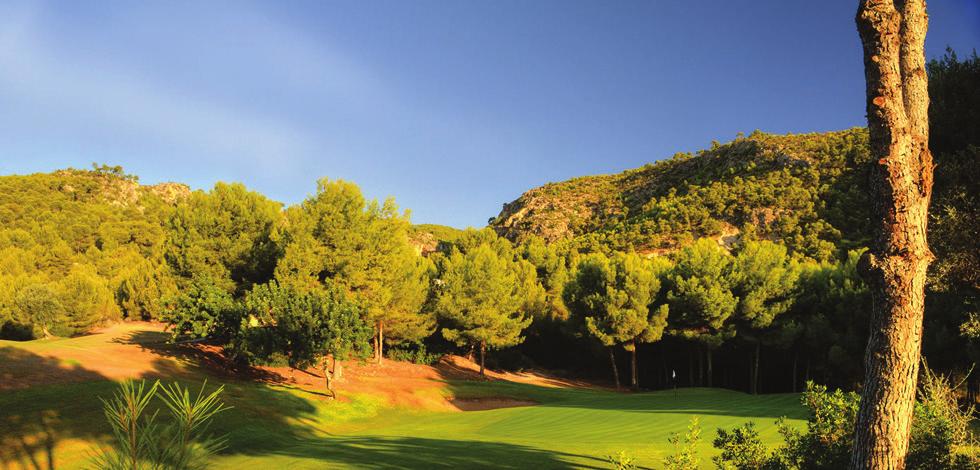 Inaugurato nel 1986 con 9 buche, ed esteso successivamente nel 1995 a 18 buche, il Real Golf de Bendinat è stato progettato da Martin Hawtree.