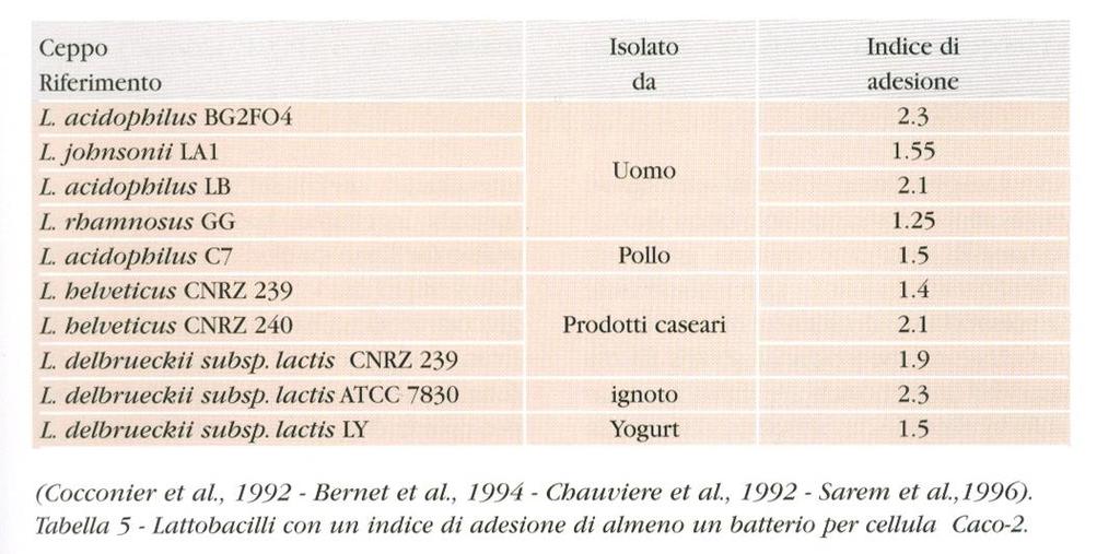 Studi di adesione mediante linee