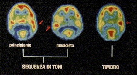 cioè quella sinistra.