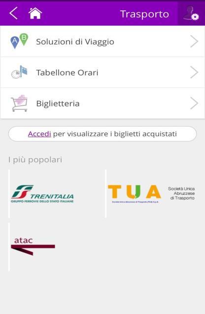 cercare informazioni sul tuo viaggio in