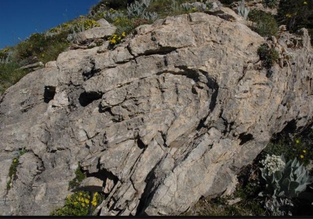 GLI EFFETTI DELLE FORZE ENDOGENE SULLE ROCCE Le forze endogene sottopongono le rocce della litosfera a sollecitazioni intense Deformazione di tipo elastico: Le rocce cambiano la loro forma, ma quando