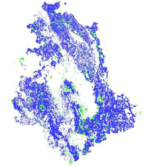 Carta Forestale Regionale 1990 Governo Ceduo Fustaia Totale ha % 303.965 90,2% 33.170 9,8% 337.