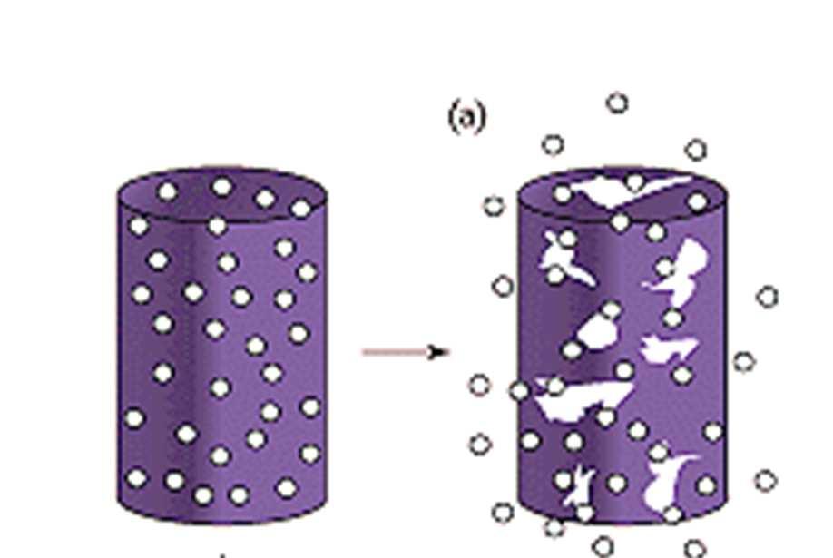 Polimeri biodegradabili 1. Polilattide (PLA) 2. Poliglicolide (PGA) 3.