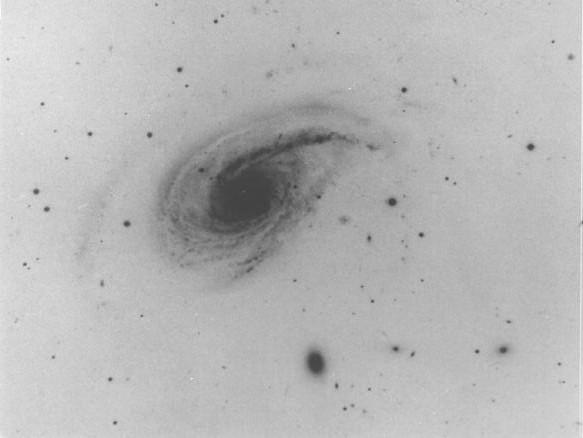 78 (NGC 772)