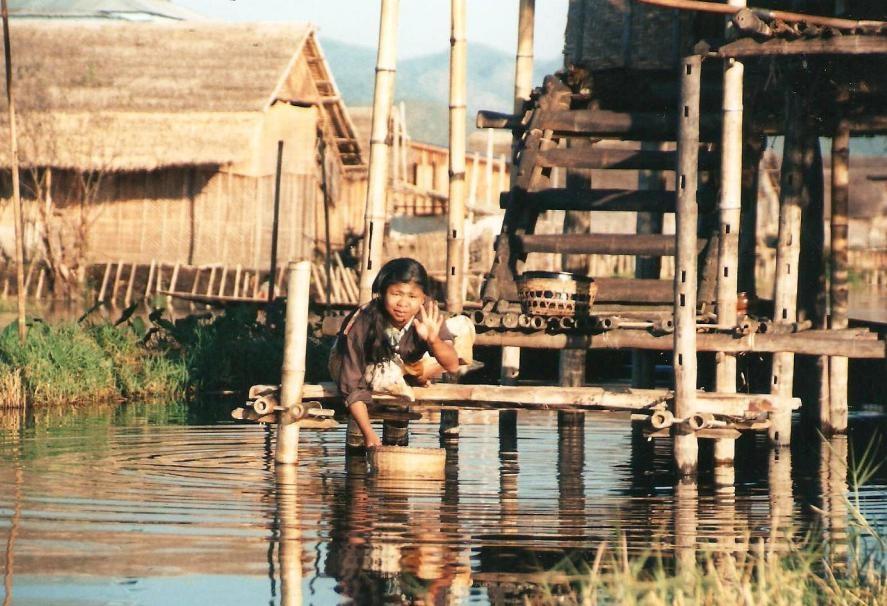 ...e l industriosa tribù Intha li coltiva alacremente