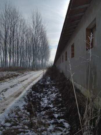 Adiacente 20 Piano primo: Viabilità Rete elettrica Rete idrica La richiesta non necessita di parere agronomico in quanto l edificio è stato realizzato 1979.