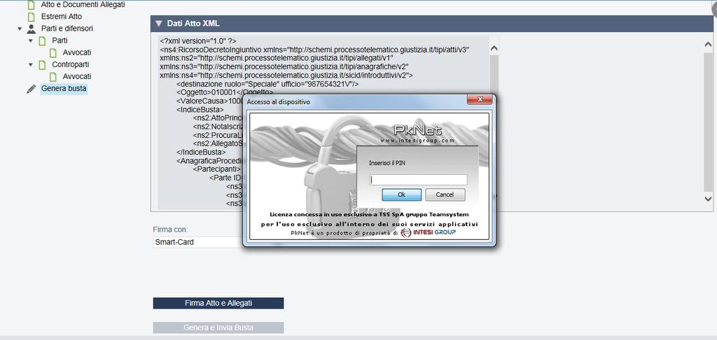 SMART CARD Digitando, invece, l opzione Smart Card e collegando il proprio dispositivo al pc, si visualizzerà una finestra per l inserimento del PIN della smart card/chiave digitale e premere OK.