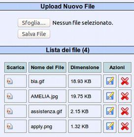 Gestione upload e download Di ogni documento vengono visualizzati il nome e la dimensione. Le azioni possibili sono l'inserimento, il download, la cancellazione e la modifica del nome del documento.