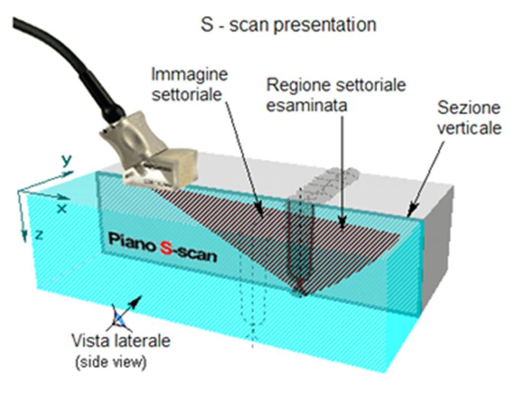 S-Scan Immagine settoriale. È la vista 2-D di una regione settoriale della sezione verticale del pezzo in esame.