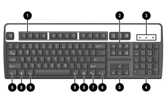 Caratteristiche del prodotto Componenti della tastiera standard 1 Tasti funzione Eseguono funzioni speciali, diverse a seconda dell applicazione software in uso.