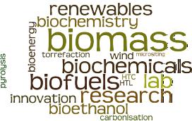 Biocombustibili solidi ottenuti da trattamento termico della biomassa Andrea Maria