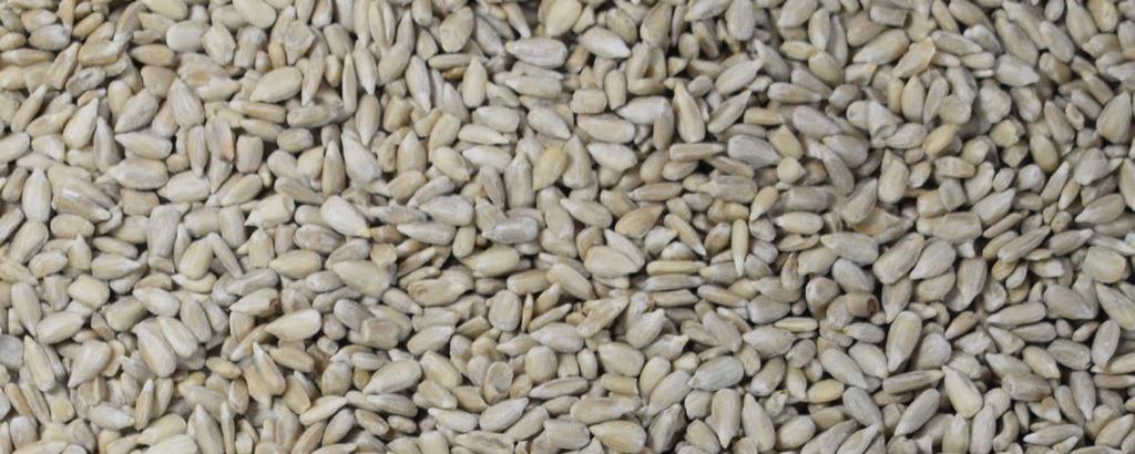 Semi di Girasole Decorticati Sono semi dalle molteplici proprietà nutrizionali: contengono Vitamina E, Selenio, Fosforo e Magnesio.