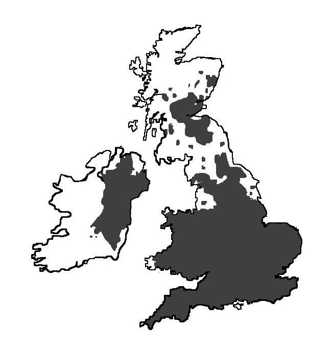 Lo scoiattolo grigio in nord Europa Lo scoiattolo grigio è stato introdotto in Gran Bretagna e Irlanda In questi
