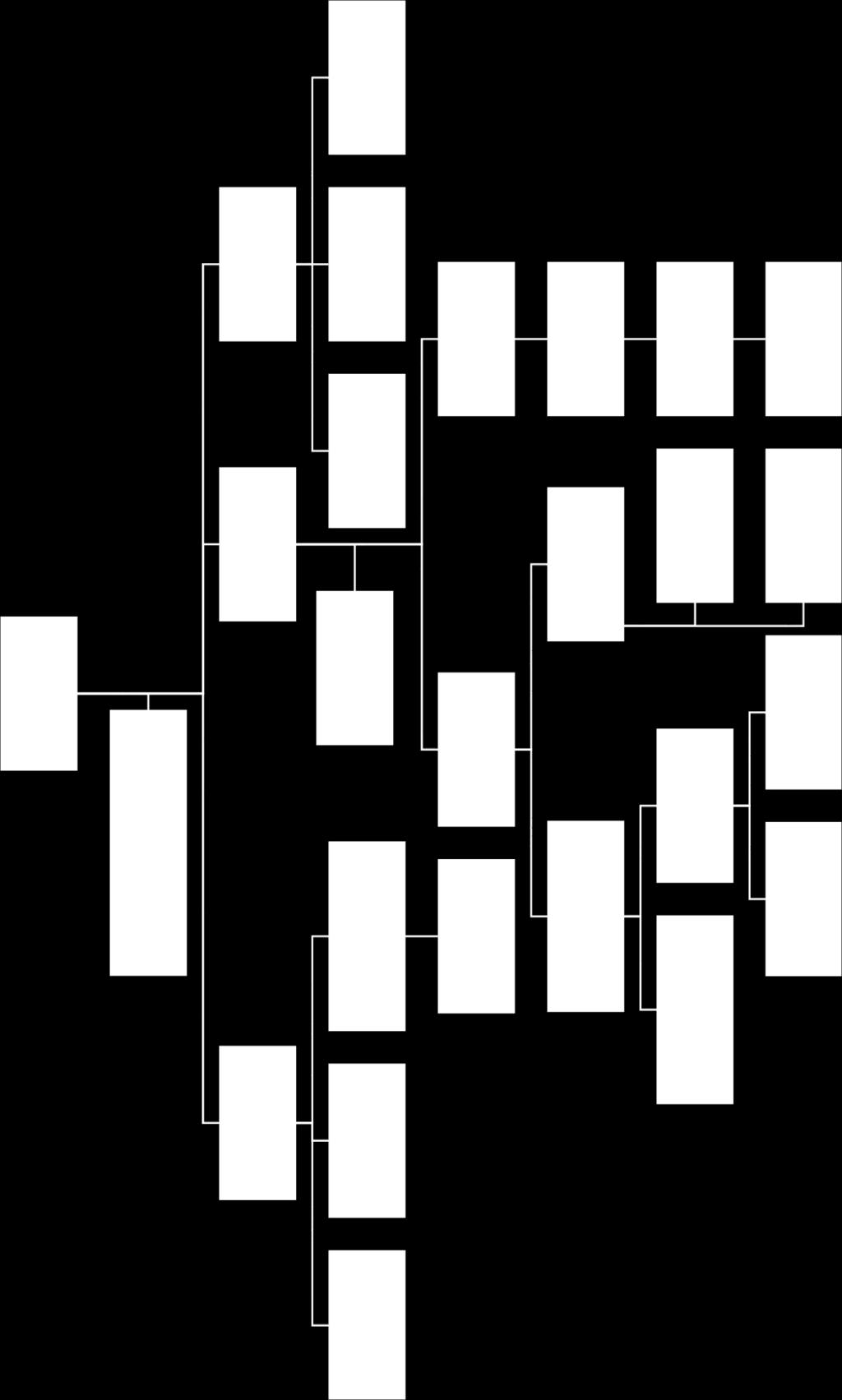 Figura 1: Organigramma aziendale.