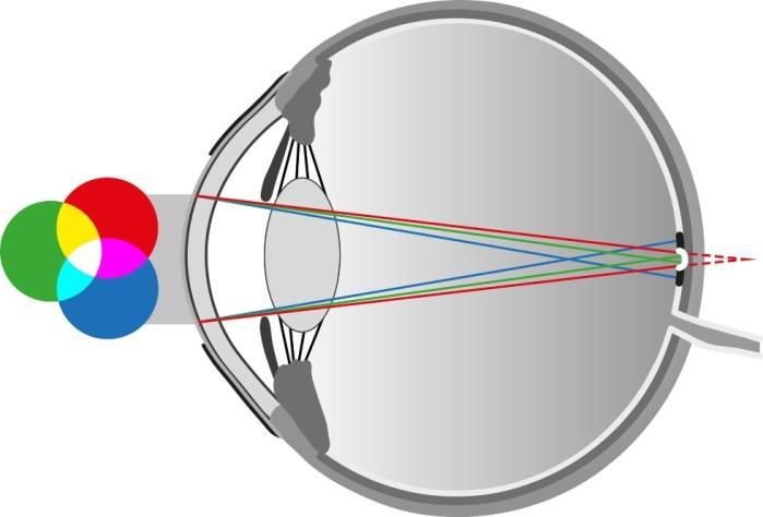 poiché la periferia corneale è più piatta rispetto alla porzione centrale, e il nucleo del cristallino ha un indice di rifrazione maggiore della corteccia.