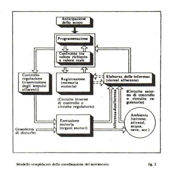 Anticipazione e programmazione Ogni movimento che accompagna l uomo non può essere ricondotto ad