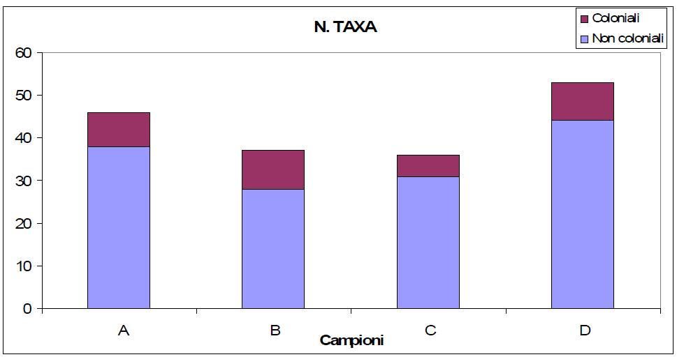 Figura 10.3.2.1: Numero di taxa rilevato per campione ripartito tra coloniali e non coloniali nei 4 campioni di substrato duro nell affioramento TERM 14.