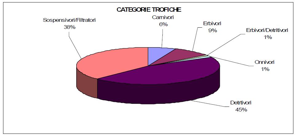 8), il modello di alimentazione degli organismi appare caratterizzato essenzialmente da sospensivori filtratori e da detritivori che, per numero di individui complessivi, rappresentano oltre l 83%