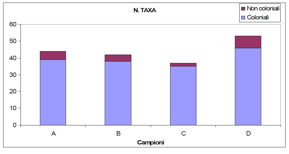 Il numero di taxa totale (coloniali e non coloniali) rinvenuto per singolo campione (Figura 10.3.2.9) è variato da un minimo di 42-44 nei campioni A e B ad un massimo di 53 nel campione D.