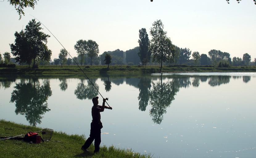 GALLEGGIANTI E BALLERINE GALLEGGIANTI E BALLERINE GALLEGGIANTI TROTA Famiglia completa di galleggianti per la pesca alla Trota, caratterizzati da una robusta deriva, da un antenna particolarmente