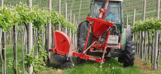 che producono Mosto Concentrato Rettificato oltre ad