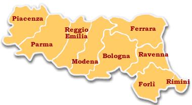 Produzione vitivinicola regionale PLV 2008: 241 MLN (-16%) Rappresenta il: 6 % PLV regionale (3955 MLN ) 24 % PLV coltivazioni arboree (1000 MLN ) PRODUZIONE LORDA VENDIBILE DELL'EMILIA-ROMAGNA ANNO