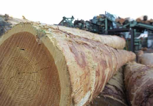 La certificazione PEFC garantisce la provenienza del legno da foreste di gestione sostenibile.