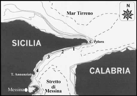 Rendimenti di pesca con reti "tramaglio" e "baldassone" su fondali invasi da Caulerpa taxifolia 609 Risultati In Tab.