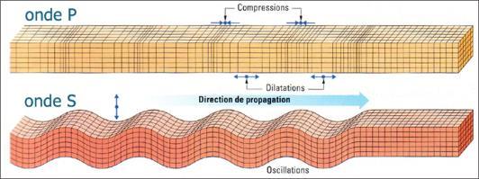 I TERREMOTI Le onde che partono dall ipocentro sono di due tipi: onde primarie (P - longitudinali) e onde secondarie(s - trasversali).