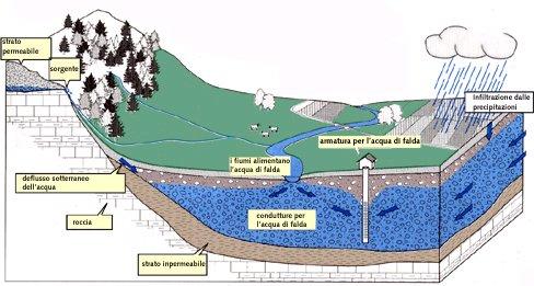 Dell acqua che arriva a terra un terzo evapora dal suolo o dalle piante, un terzo cade nei