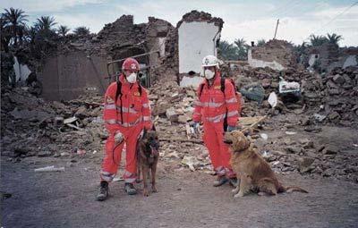 Quali sono le Attività di Protezione civile?