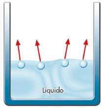 Lo stato liquido: cambiamenti di stato in sistemi ad 1 componente Evaporazione di un
