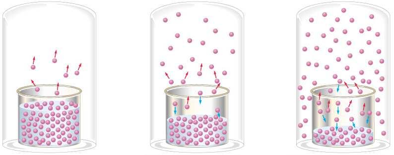 L equilibrio liquido-vapore è un processo dinamico: le molecole cambiano continuamente fase. All equilibrio il n. di particelle che lascialasuperficiedelliquidoealn.