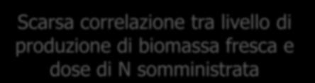 Risultati progetto AZORT: relazione tra produzione e N