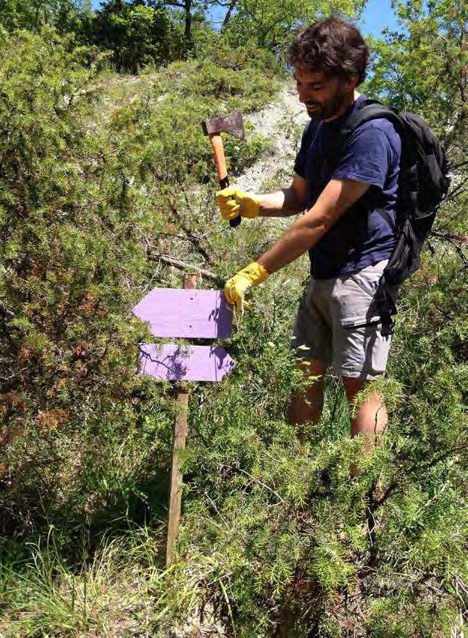 Volontariato I volontari del WWF Parma nel 2014 hanno curato la pulizia di molti km di sentieri escursionistici nella Riserva, il mantenimento del Percorso Natura e dei laghetti didattici presso il