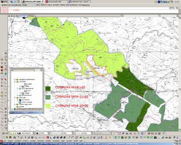 Fig. 1 Esempio di popolamenti ad eucalitto distinti in funzione del grado di copertura.