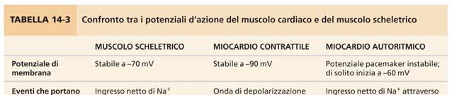 VARIAZIONE DEL POTENZIALE DI