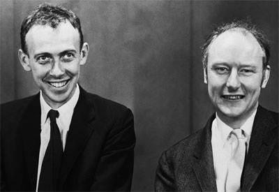 3.2 COLLABORAZIONE CON CRICK Nell ottobre 1951, Watson iniziò la sua collaborazione al Cavendish Laboratory, il noto dipartimento di fisica dell Università di Cambridge, dove incontrò