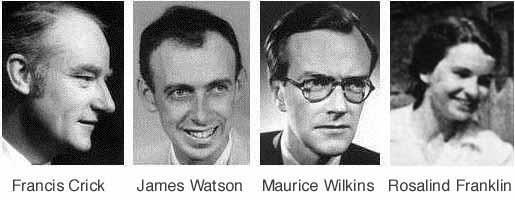 Watson, Crick e Wilkins