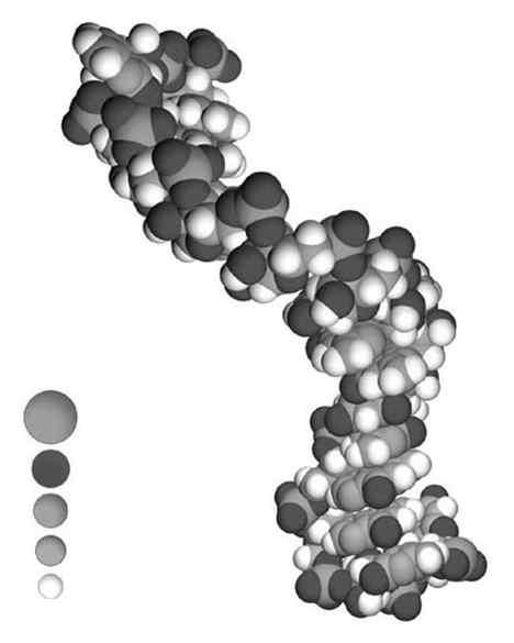 nche l RN è un acido nucleico ma è composto da uno zucchero leggermente differente (il ribosio) e una base azotata chiamata uracile (U) al