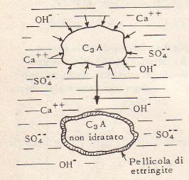 Idratazione C 3 A Il rallentamento è dovuto al fatto che gli ioni Ca 2+ e SO 4 2- reagiscono con la parte superficiale dei granuli formando